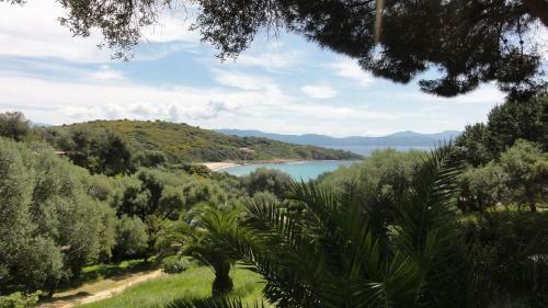 Apartamento R�sidence Les Mandiles