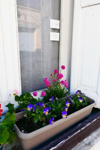 G�te Le Puits Sal�