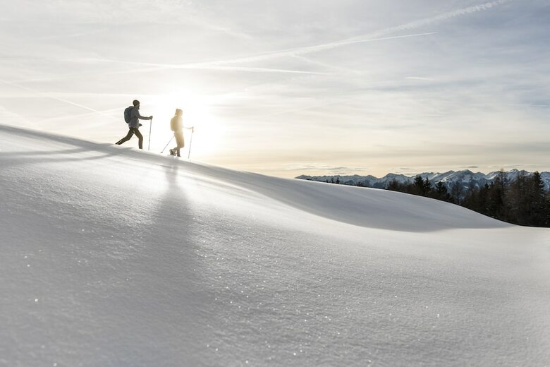 Naturhotel L�snerhof