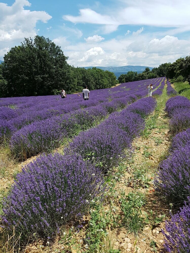 Gites Colline De Sollies
