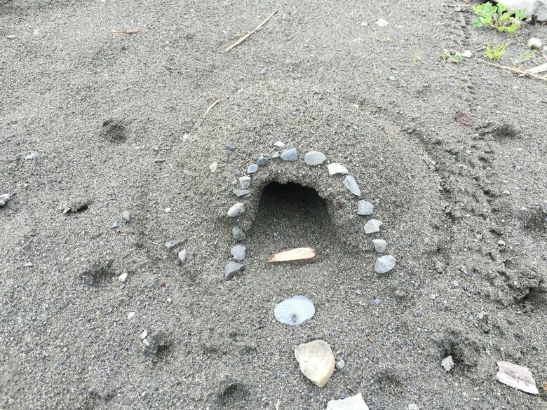 Mt. Baker Lodging Cabin 40 ? Pool Table, Sleeps 11! By Mbl