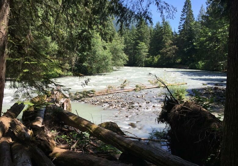 Mt. Baker Lodging Cabin 98 - Hot Tub, Pets, Sleeps 6! By Mbl
