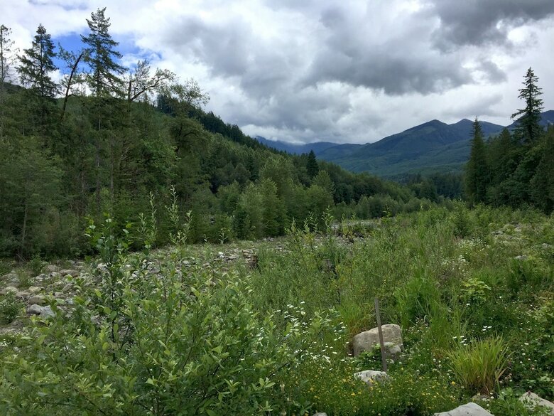 Mt. Baker Lodging Cabin 39 ? Pet Friendly, Sleeps 6! By Mbl