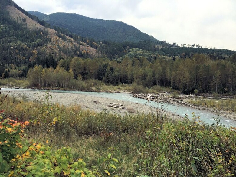 Mt. Baker Lodging Condo 68 ? Frpl, W/d, Sleeps 4! By Mbl
