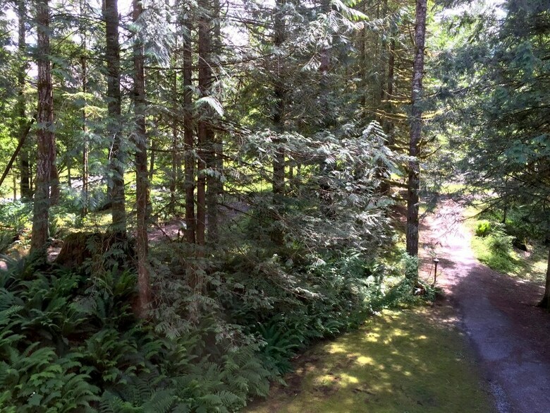 Mt. Baker Lodging Condo 68 ? Frpl, W/d, Sleeps 4! By Mbl