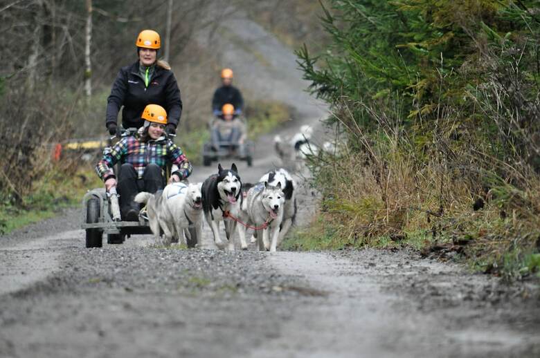 H�ttenhotel Husky Lodge