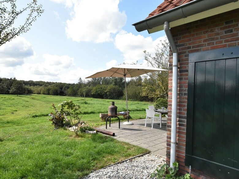 Cozy Holiday Home In Hollandscheveld With Forest Near