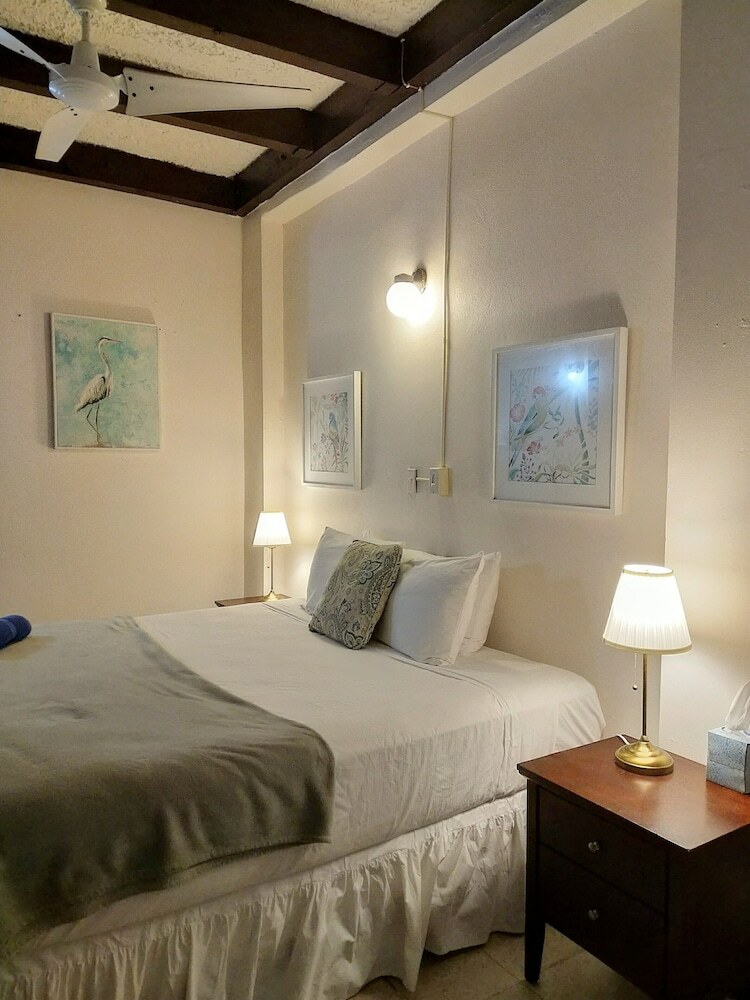 Aparthotel La Capitana Old San Juan