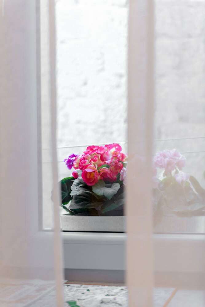 Bed & Breakfast Aurum Templi Suites