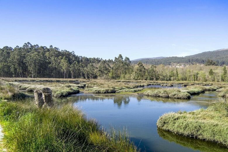 Hostal Hostel Albergue O Mes�n