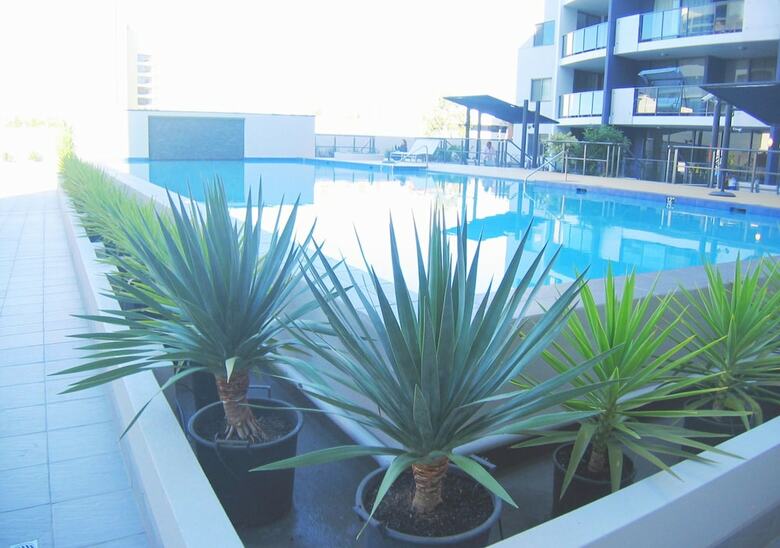 Apartamentos 128 On The Terrace