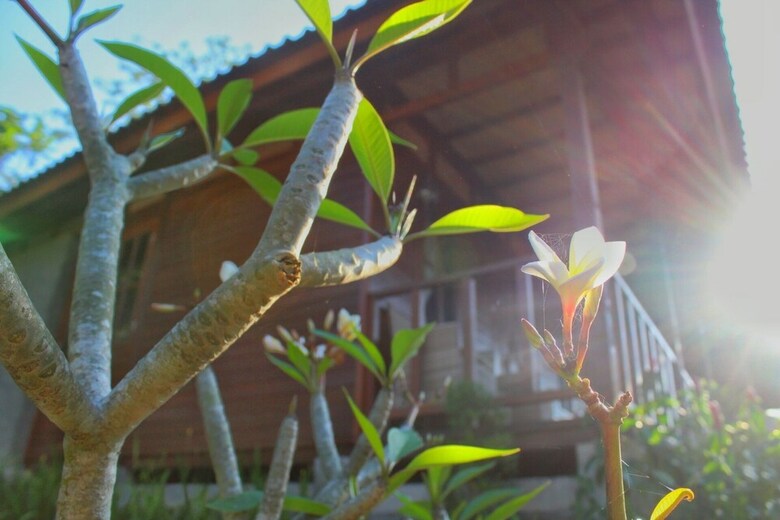 Bed & Breakfast Villa Waturenggong Ubud