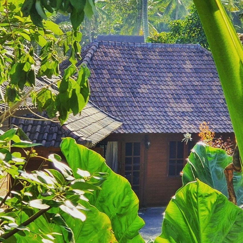 Bed & Breakfast Villa Waturenggong Ubud