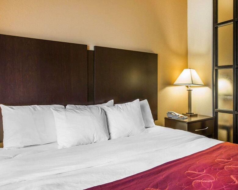 Hotel Comfort Suites Macon