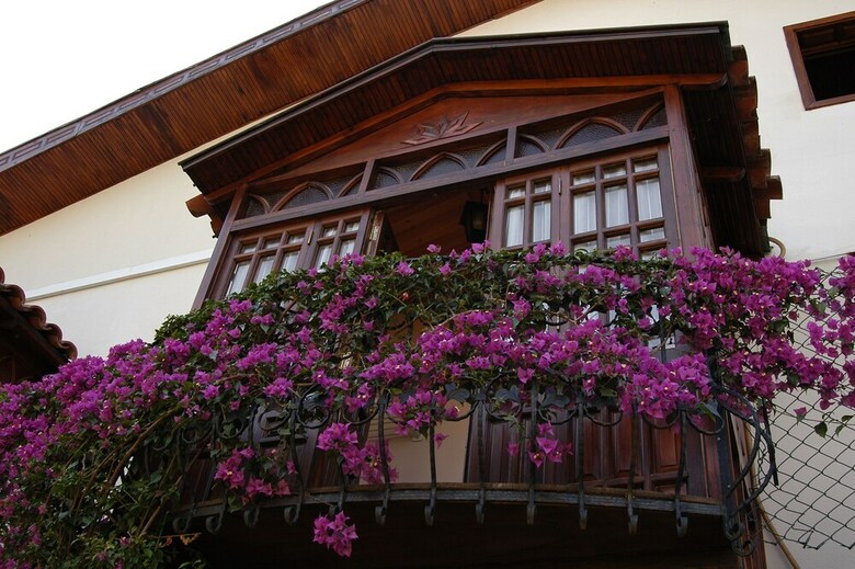 Hotel Villa Daffodil - Special Class