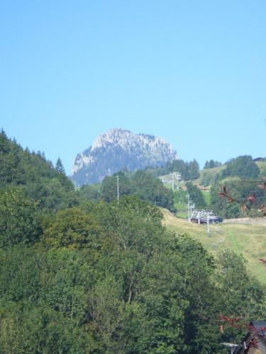 Apartamento Heidinger