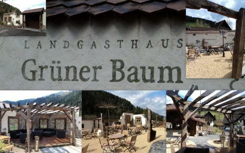 Hostal Landgasthaus Gr�ner Baum