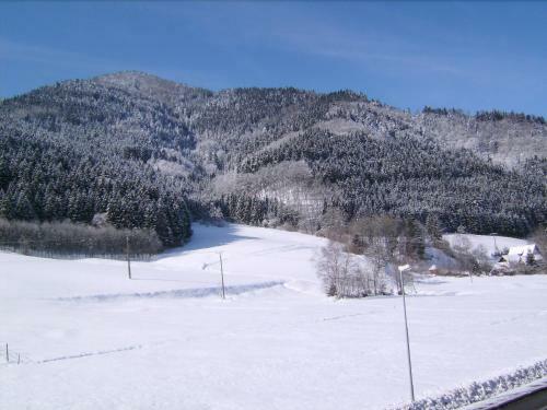 Hostal Gasthaus Zur Erle