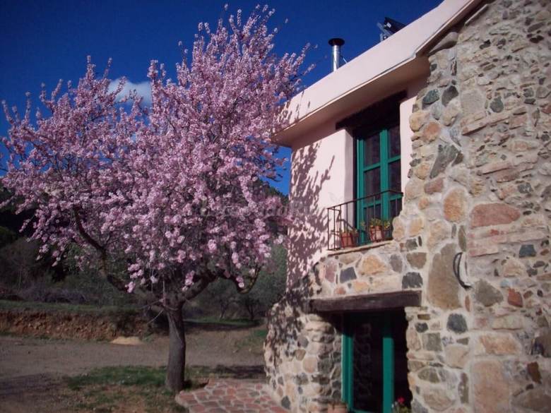 Agroturismo Mas Olivella