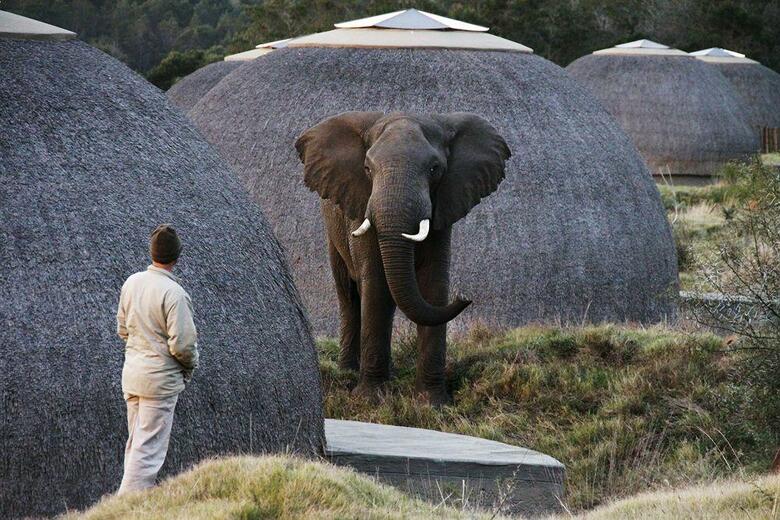 Hotel Gondwana Game Reserve