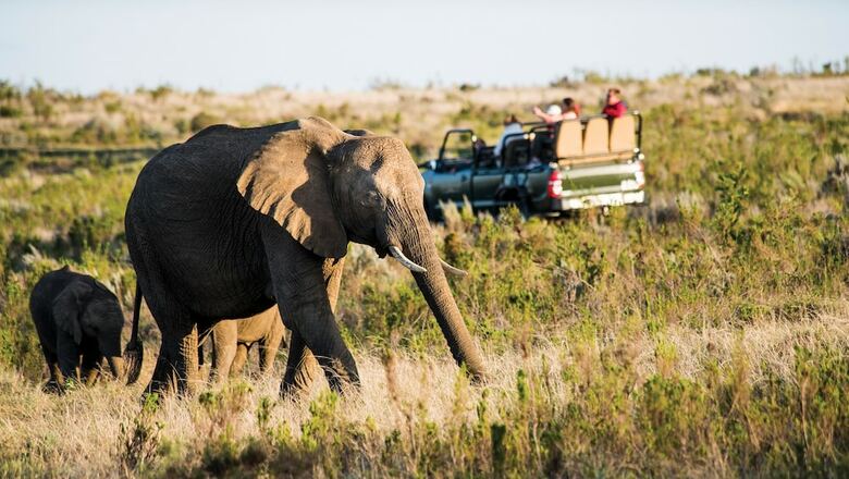 Hotel Gondwana Game Reserve
