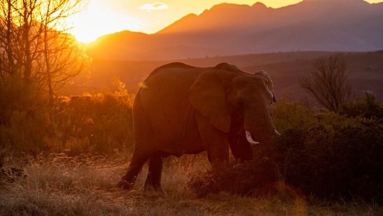 Hotel Gondwana Game Reserve