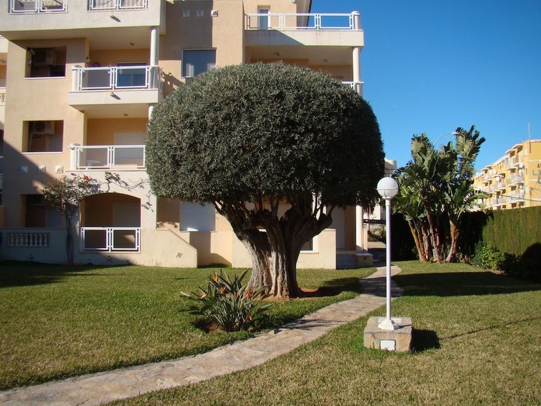 Apartamentos El Hort A8