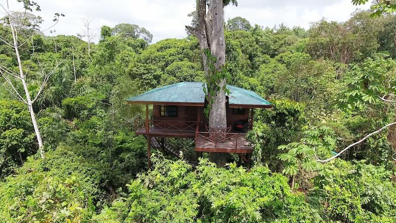 Hotel Maquenque Eco-lodge