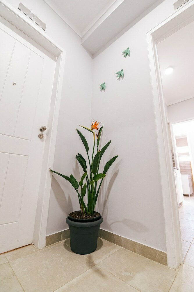 Apartamentos Mar� Alta Alojamentos