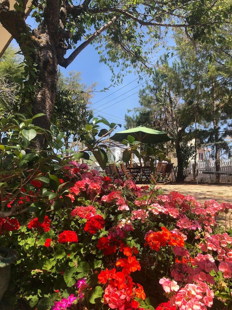 Hotel Lotus Villa Dalat