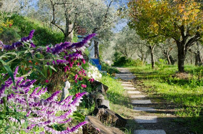 Hostal Armonia Alpujarra
