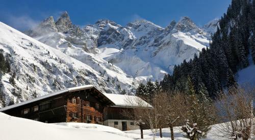 Apartamento G�stehaus Hornblick