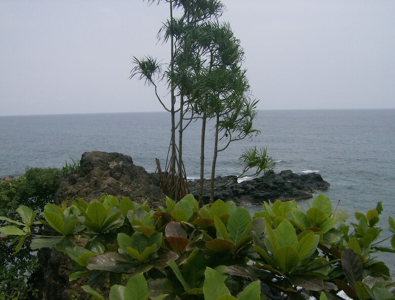 Posada N Guemb� Nature Resort