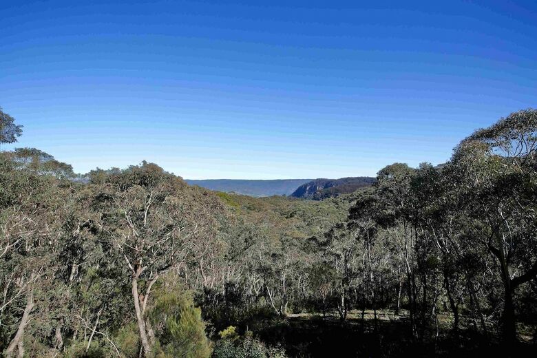 Narrow Neck Lodge