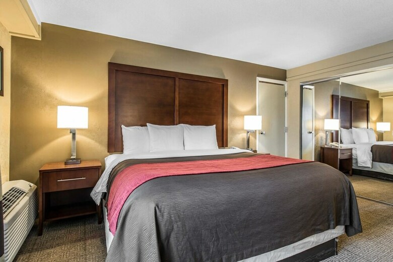 Hotel Comfort Inn Denver Central