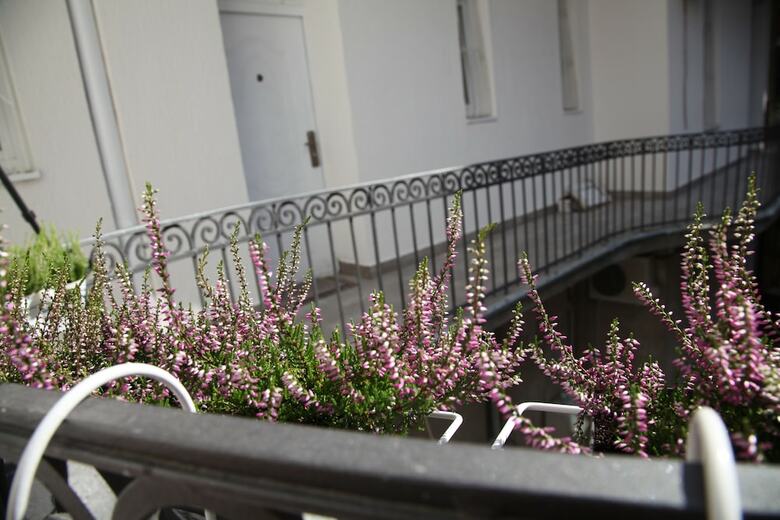 Al Mattina Apartments Belgrade