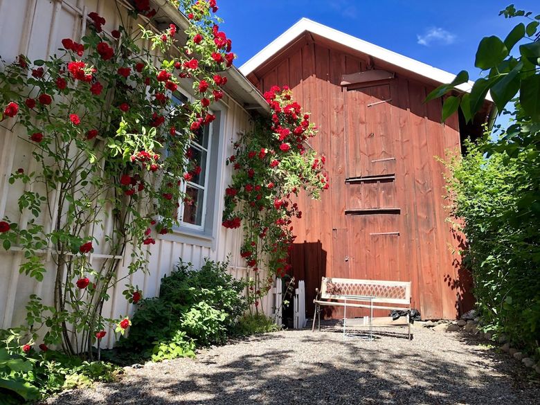 Hotel Pensionat Gyllenhjelmsgatan