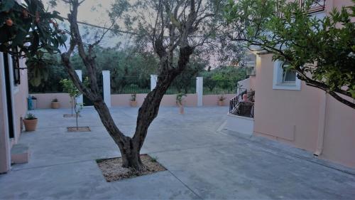 Doras Zante Studios & Apartments