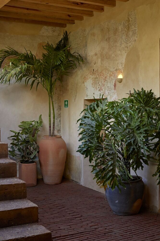 Hotel Escondido Oaxaca