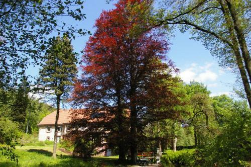 Apartamentos Ferienwohnungen Reichholdsm�hle