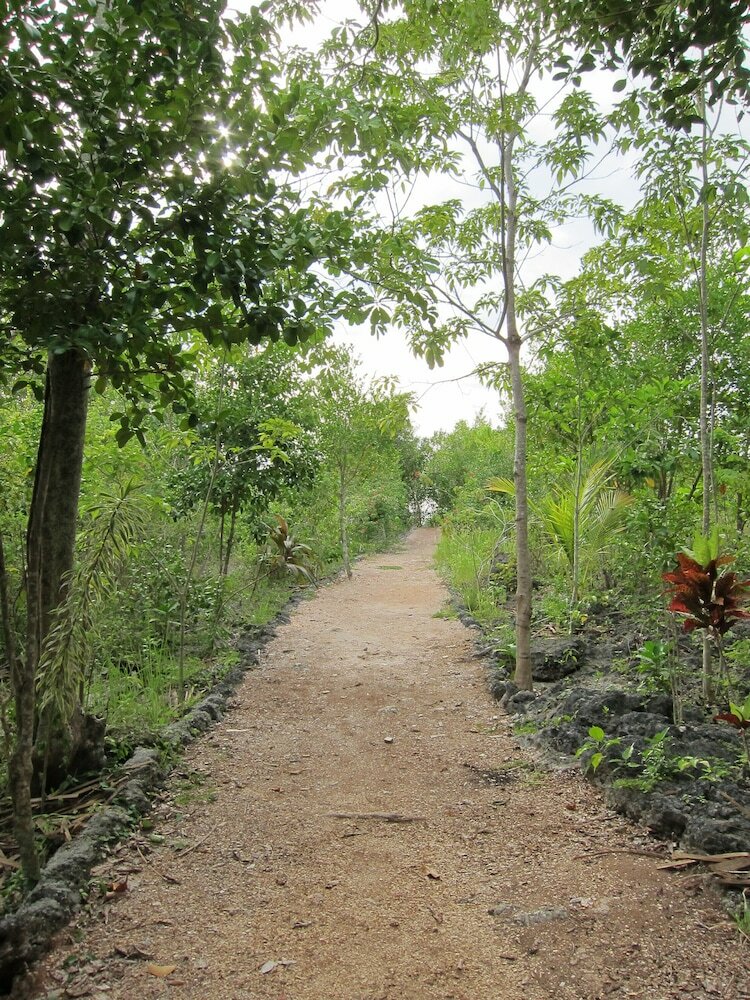 Hostal Eskapo Verde - Hostel