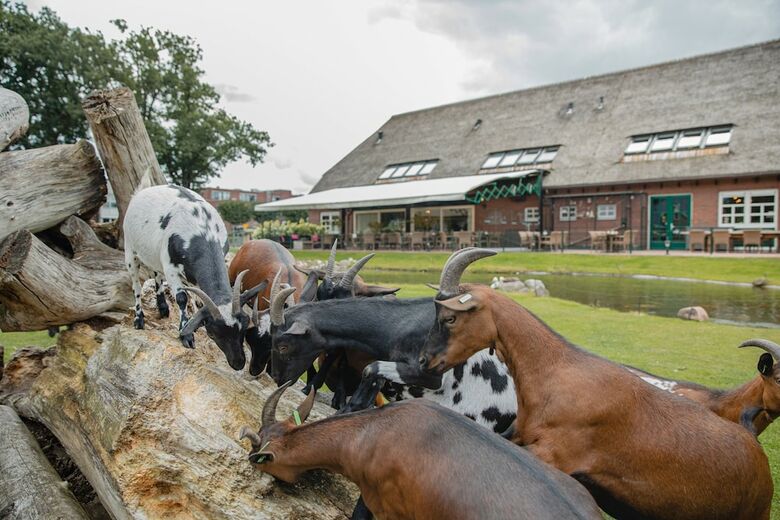Bed & Breakfast Buiten Gewoon - Gewoon Buiten