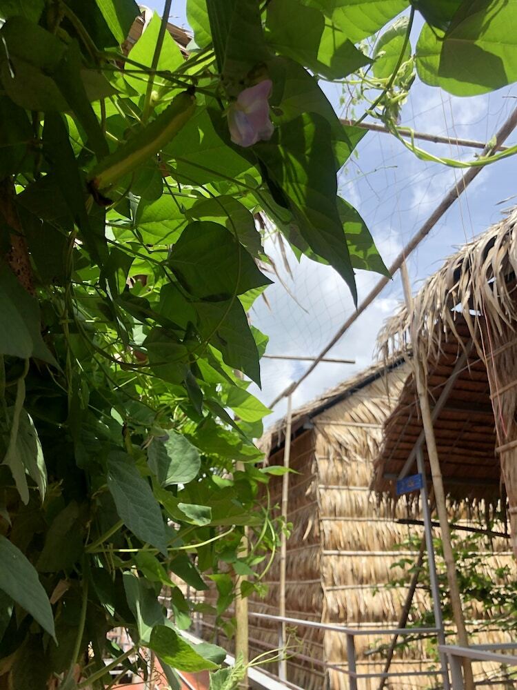 Hotel Nha Homestay