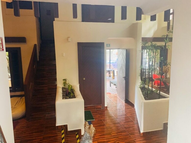 Hostal The Arrival Hotel Boutique