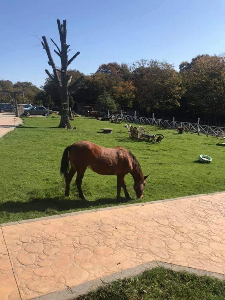 Y?ld?z Country Hotel