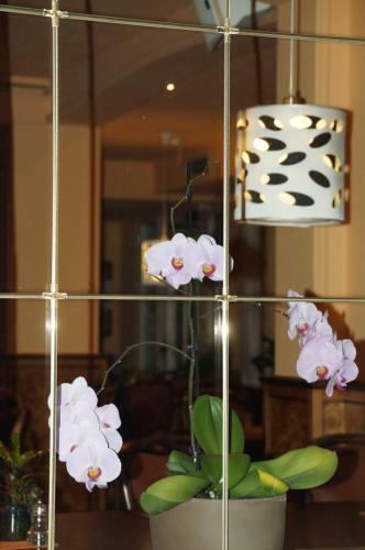 Hostal Pension Sonnenblick