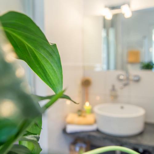 Hostal Pension Vo�