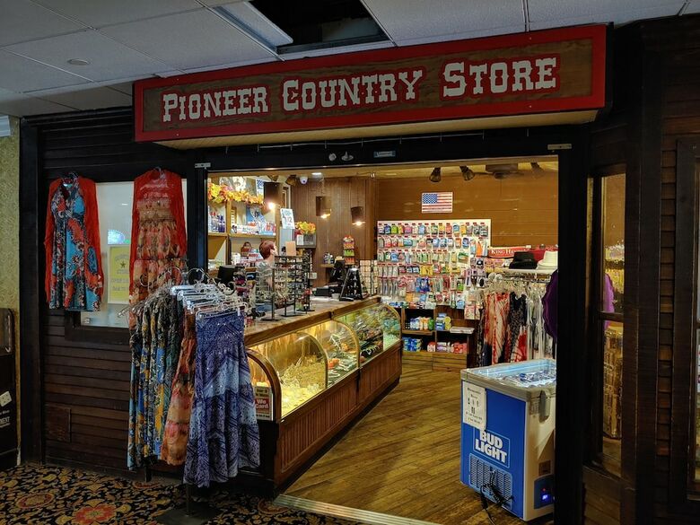 Hotel The New Pioneer
