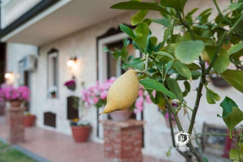 Al Giandale B&B