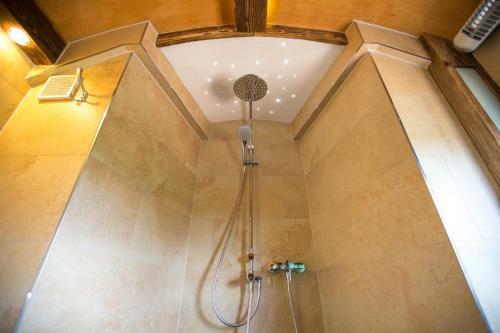 Hotel Widmann's L�wen